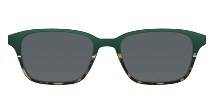The Polarized Spruce Tortoise Sun Top