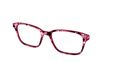 The Raspberry Pearl Tortoise