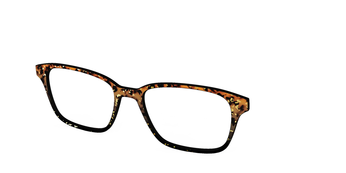 The Rustic Gold Leaf Tortoise