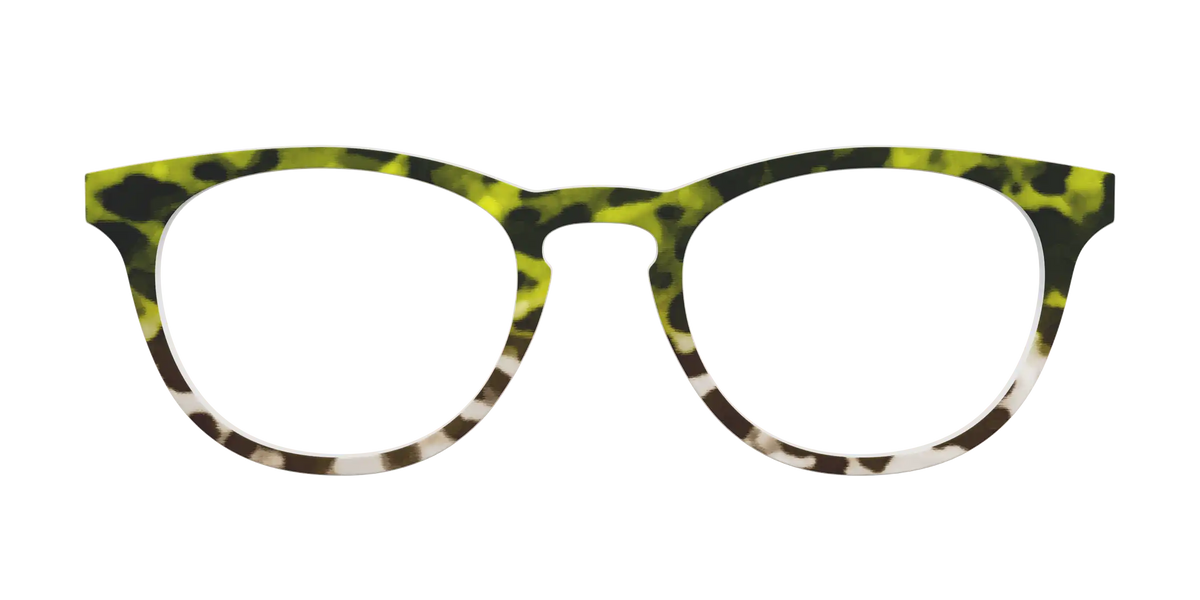 The Avocado to Ivory Tortoise