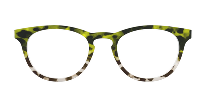 The Avocado to Ivory Tortoise