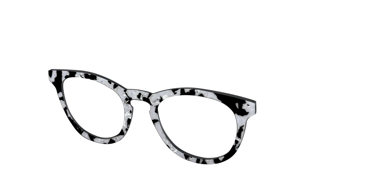 The Black & White Pearl Tortoise