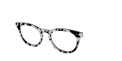 The Black & White Pearl Tortoise