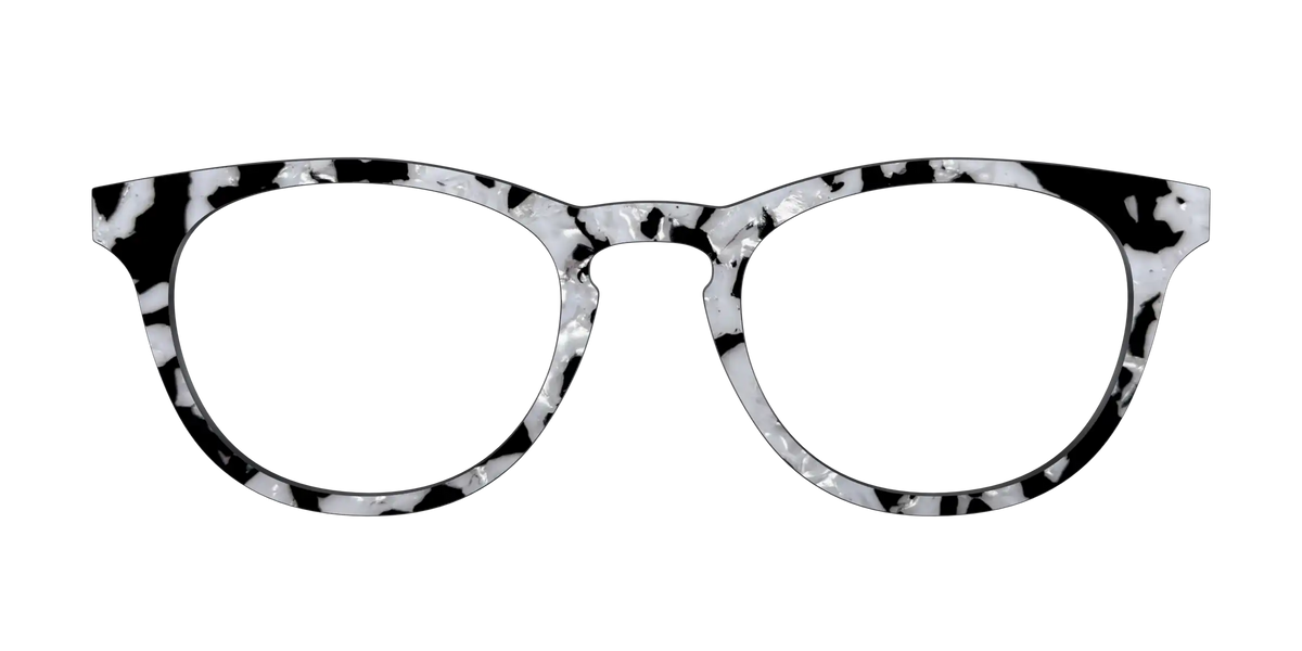 The Black & White Pearl Tortoise
