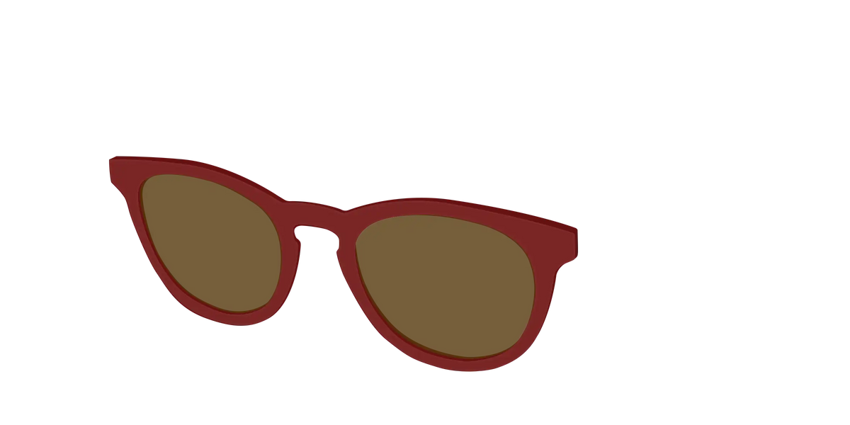 The Polarized Burgundy Sun Top
