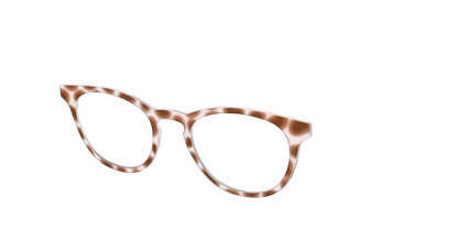 The Caffé Tortoise