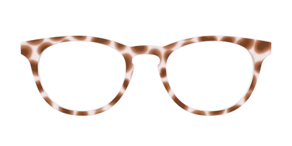 The Caffé Tortoise