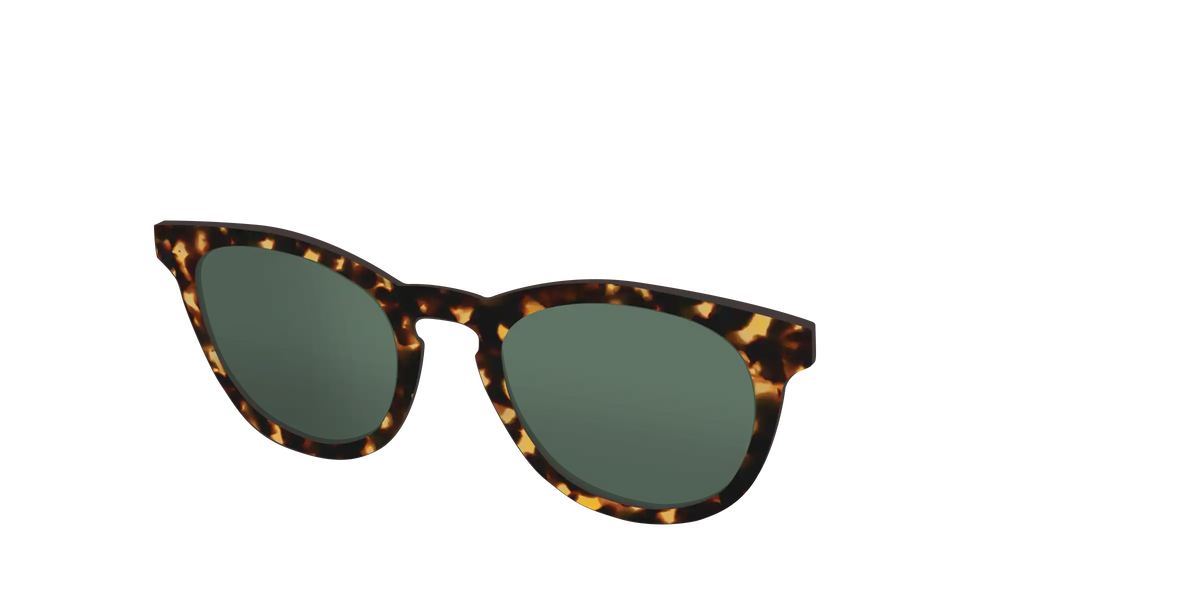 The Non-Polarized Green Tortoise Sun Top