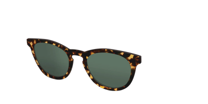 The Non-Polarized Green Tortoise Sun Top
