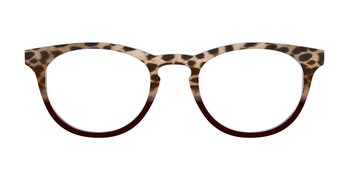 The Jungle Cat Tortoise