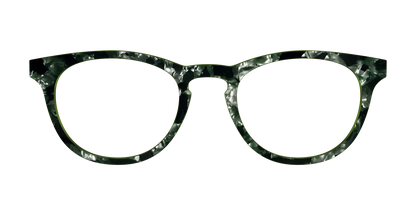 The Olive Pearl Tortoise