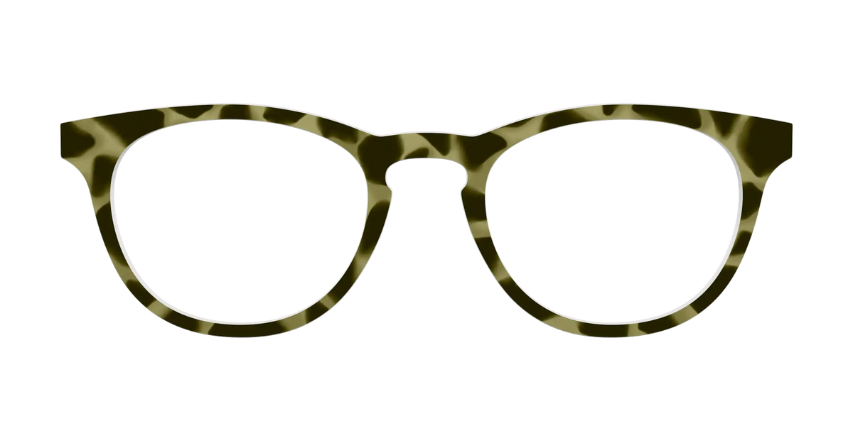 The Olive Tortoise