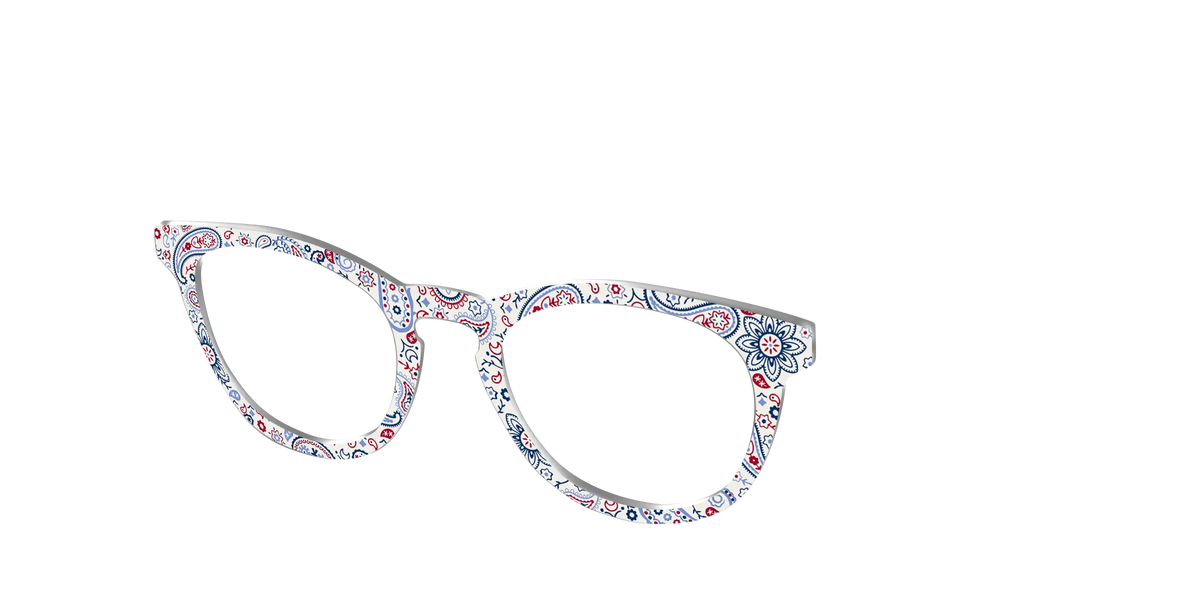 The Picnic Paisley