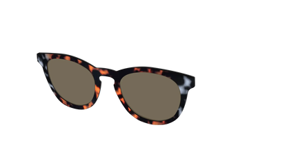 The Polarized Gray & Amber Tortoise Sun Top