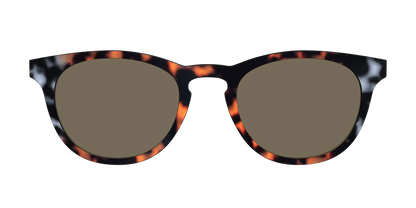 The Polarized Gray & Amber Tortoise Sun Top