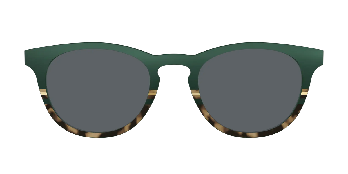 The Polarized Spruce Tortoise Sun Top