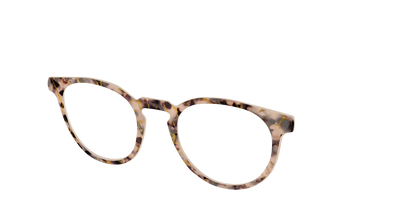 The Almond Tortoise with Gold Streaks