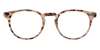 The Almond Tortoise with Gold Streaks