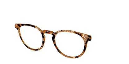The Caramel Pearl Tortoise