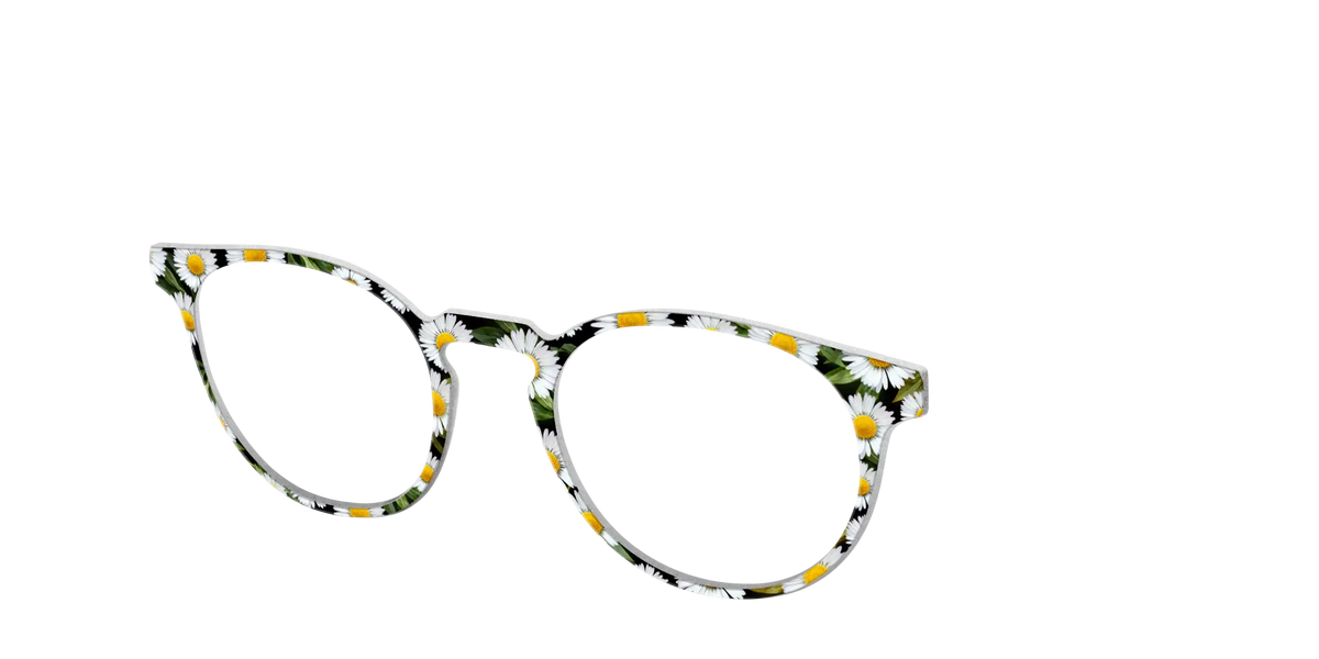The Delicate Daisies