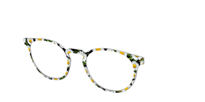 The Delicate Daisies