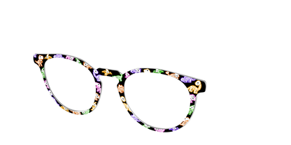 The Funky Fossils