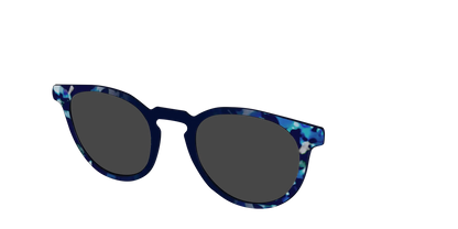 The Polarized Indigo Tortoise Sun Top