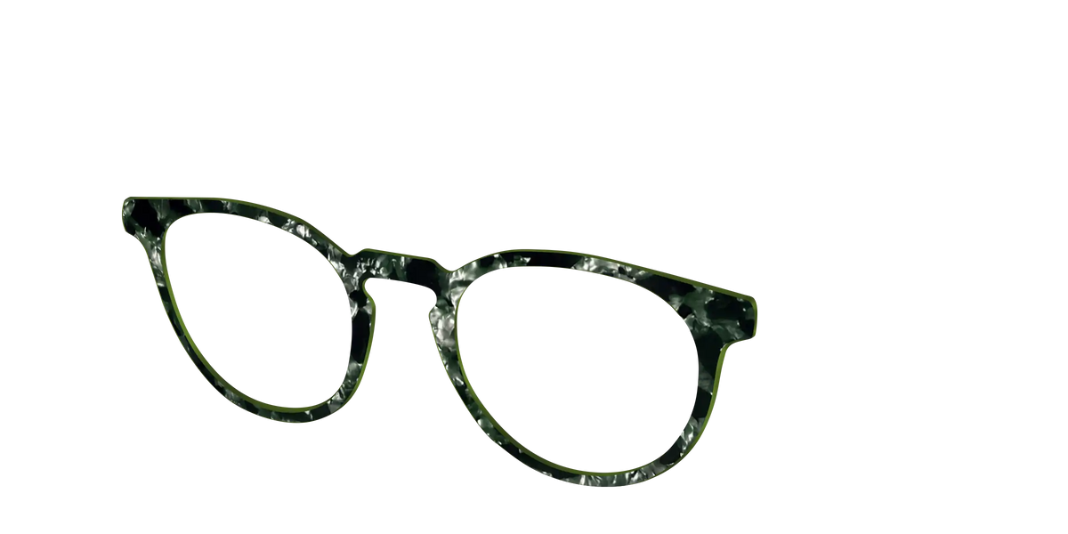 The Olive Pearl Tortoise