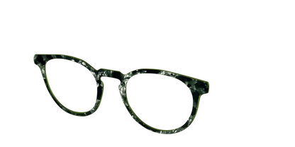 The Olive Pearl Tortoise