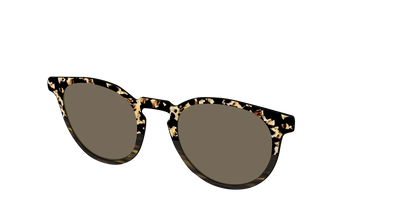 The Polarized Caramel Tortoise Horn Split Sun Top