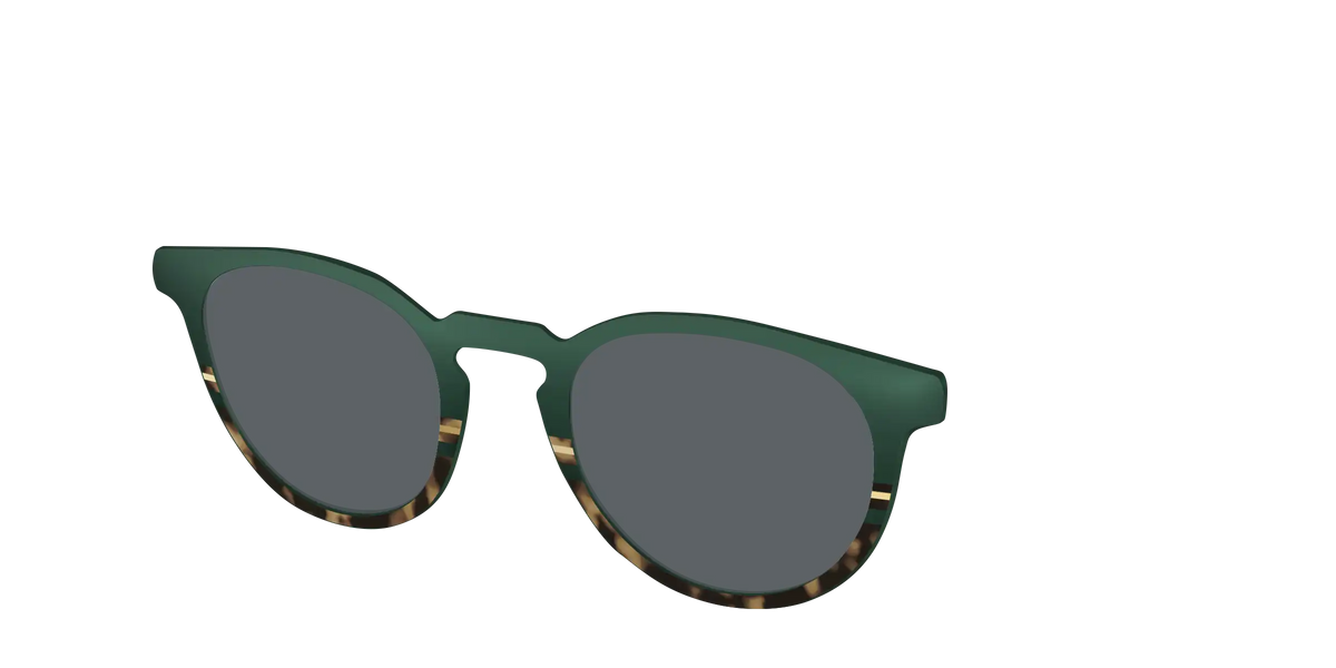 The Polarized Spruce Tortoise Sun Top
