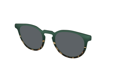 The Polarized Spruce Tortoise Sun Top