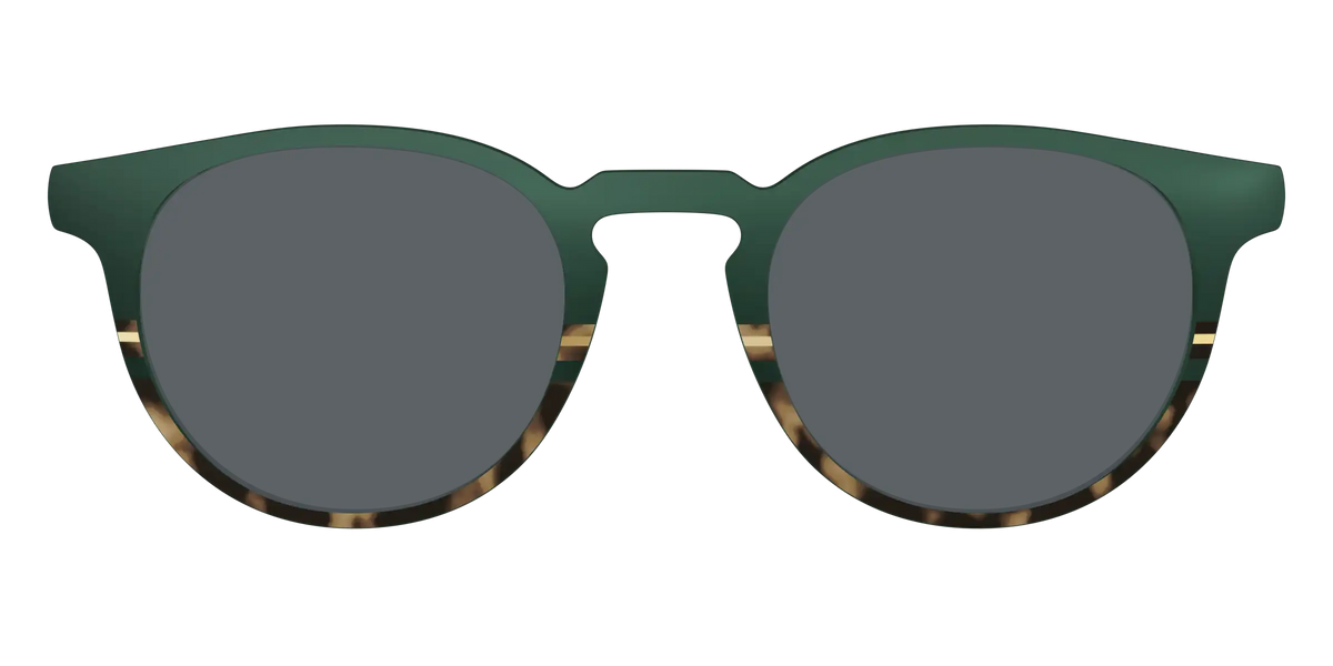 The Polarized Spruce Tortoise Sun Top