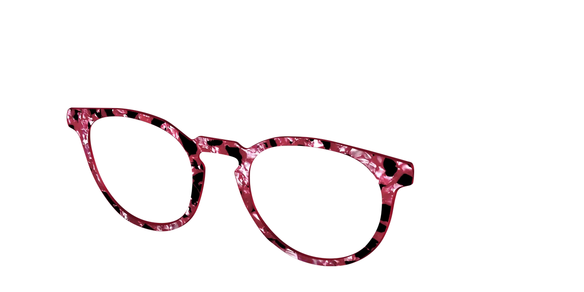 The Raspberry Pearl Tortoise