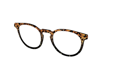 The Rustic Gold Leaf Tortoise