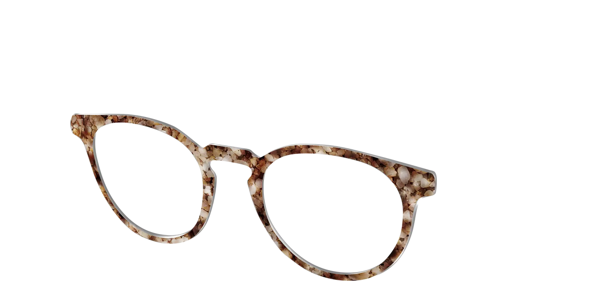 The Sandstone Tortoise