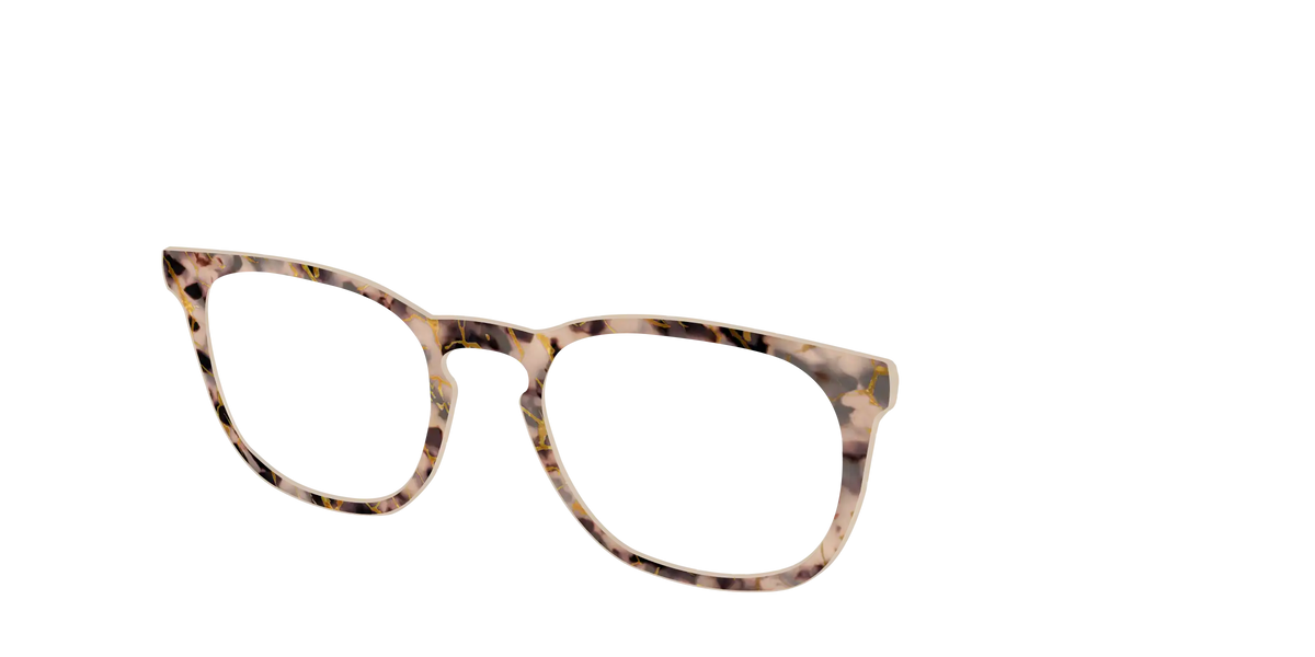 The Almond Tortoise with Gold Streaks