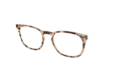The Almond Tortoise with Gold Streaks