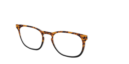 The Amber Tort