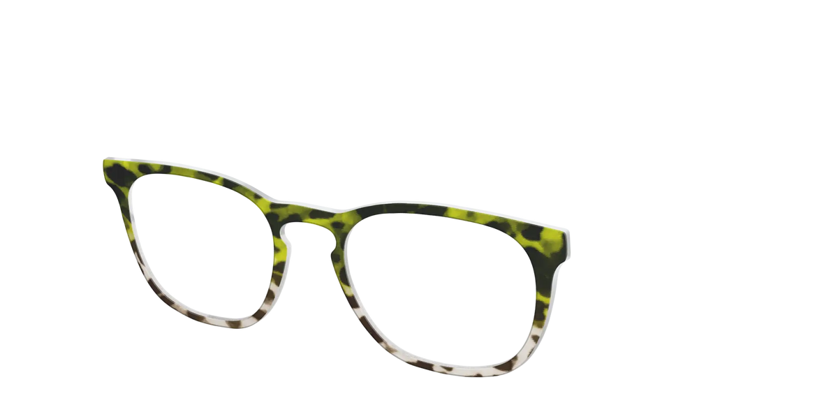 The Avocado to Ivory Tortoise