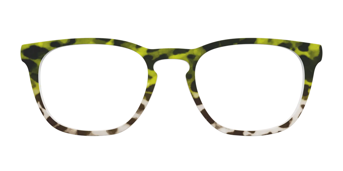 The Avocado to Ivory Tortoise