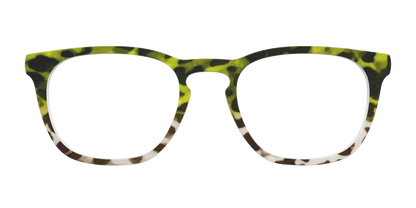 The Avocado to Ivory Tortoise