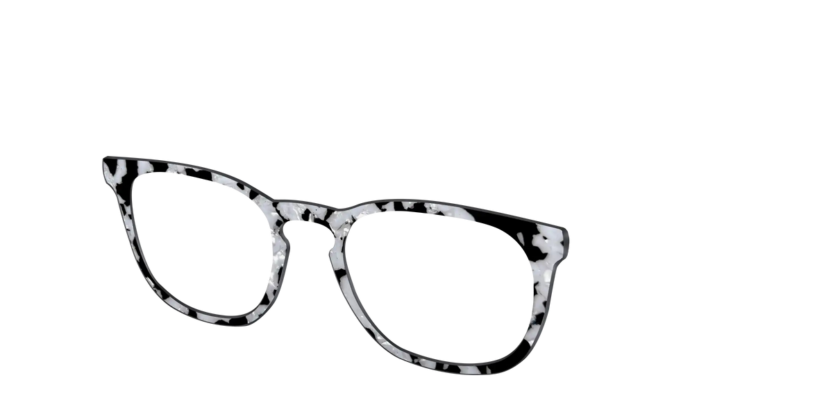 The Black & White Pearl Tortoise