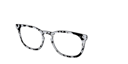 The Black & White Pearl Tortoise