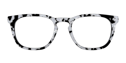 The Black & White Pearl Tortoise