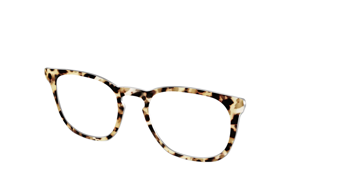 The Brown Sugar Tortoise