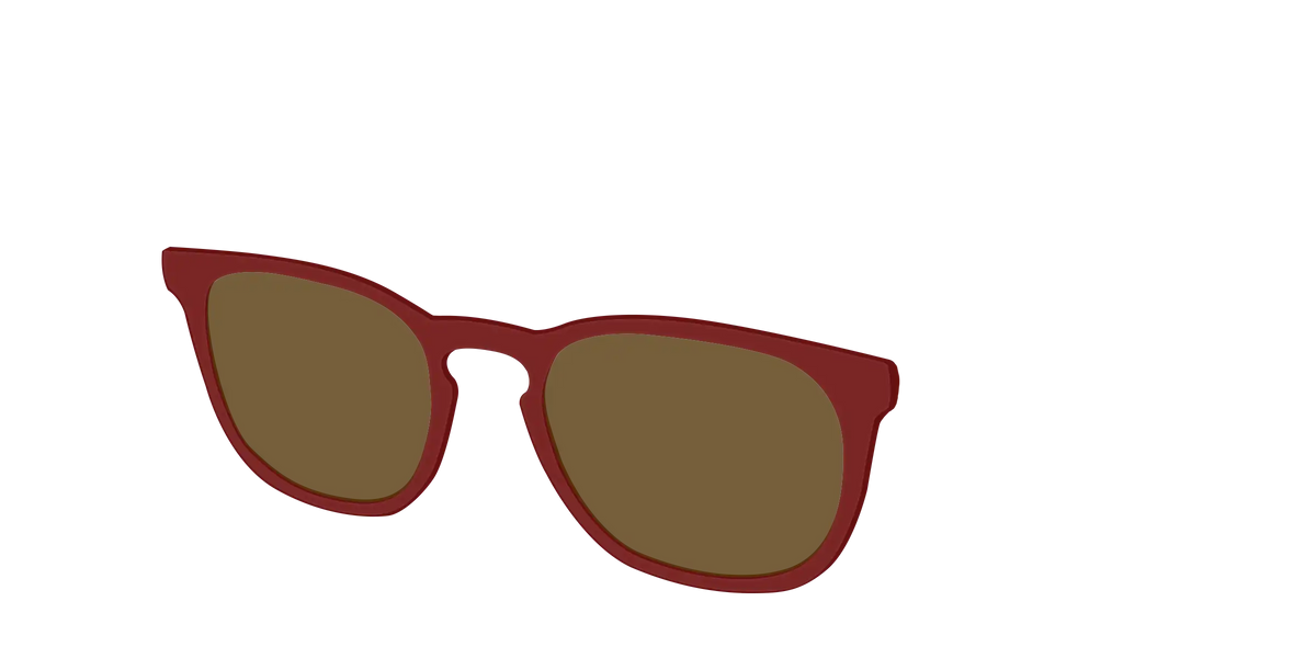 The Polarized Burgundy Sun Top