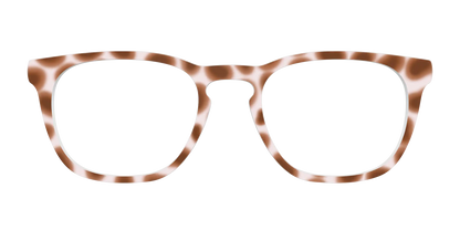 The Caffé Tortoise