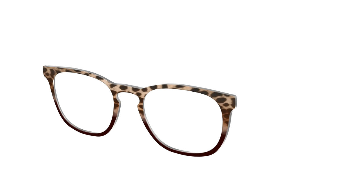 The Jungle Cat Tortoise