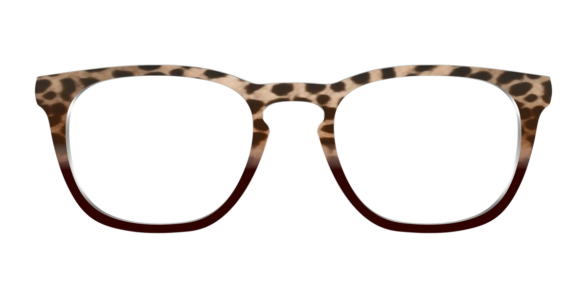 The Jungle Cat Tortoise